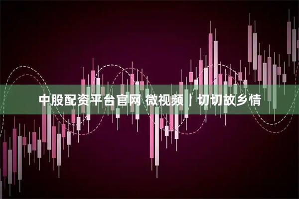 中股配资平台官网 微视频|切切故乡情